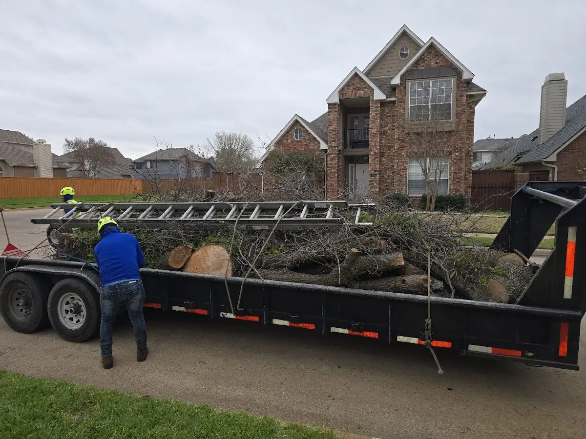Expert Tree Fertilization with proper safety equipment in Villa Rica